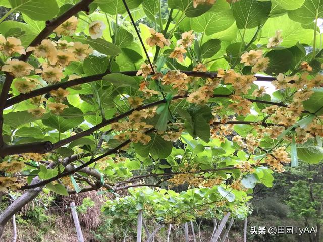 有没有几张自己拍摄的好的乡间图片