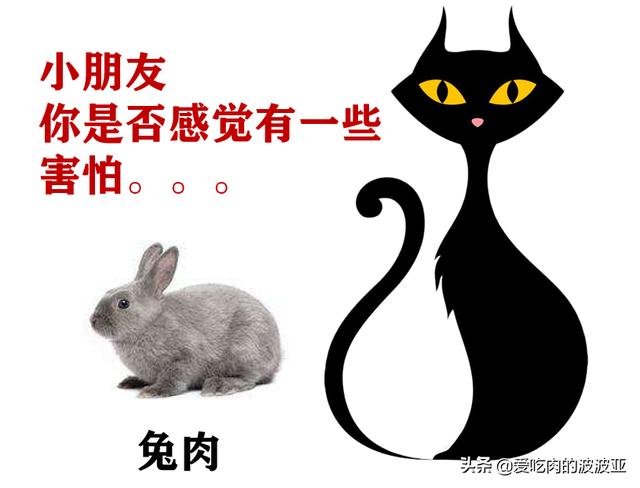 小蓝猫最喜欢吃什么零食:蓝猫吃什么可以美毛？吃蛋黄能美毛吗？ 小蓝猫最喜欢吃什么