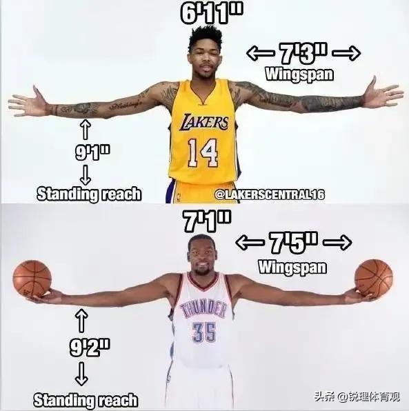 怀特塞德为什么叫白边:最近两年NBA有哪些食之无味弃之可惜的鸡肋球员？