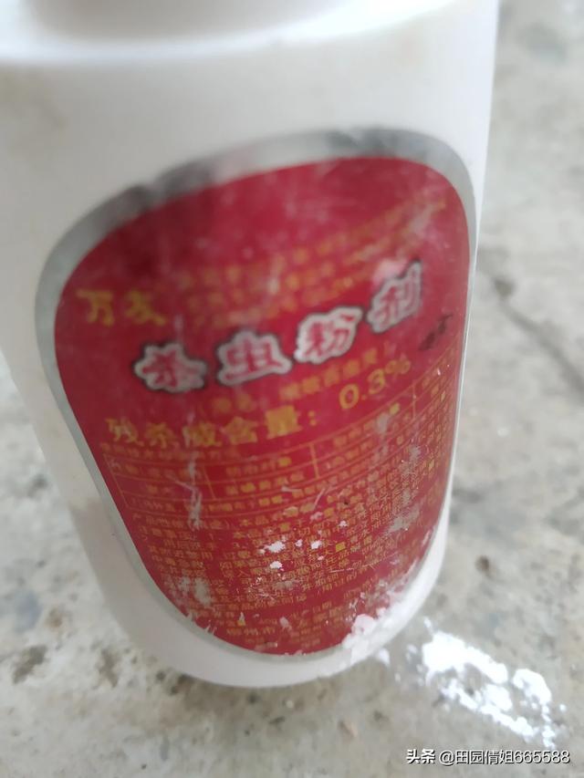 家里有蚂蚁,家里有好多蚂蚁是怎么回事啊？