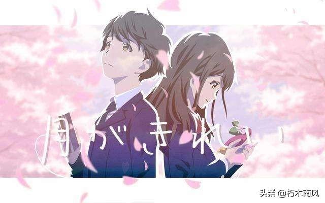 多田薰:有没有好看的恋爱番剧推荐
