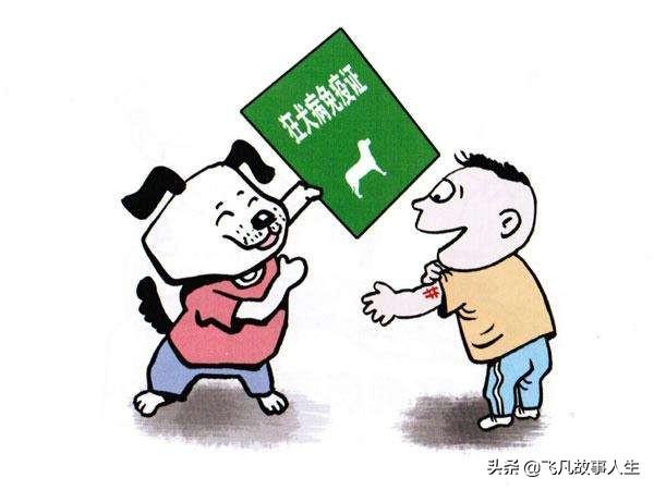 永安里现疯狗咬人素材:被‘疯狗’咬一口，该不该反击？