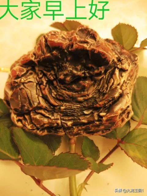 天然大化石原石图片,中国最具影响力的天然奇石有哪些？