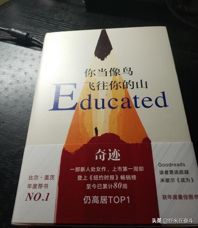 《你当像鸟飞往你的山》这本书怎么样？