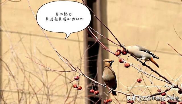 疫情之后面临一些地方物价上涨,我要怎样安抚老客户才能留住客源？
