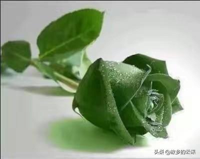 你有没有过,为了一个毫不相干的陌生人痛到撕心裂肺,哭到涕泪横流的时候？