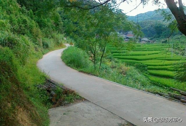 元芳,有钱人乡下是净土,没钱人乡下净是土。这句话你怎么看？