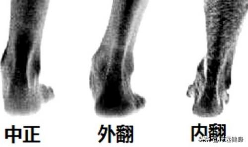 公路跑步的慢跑鞋,有什么推荐？