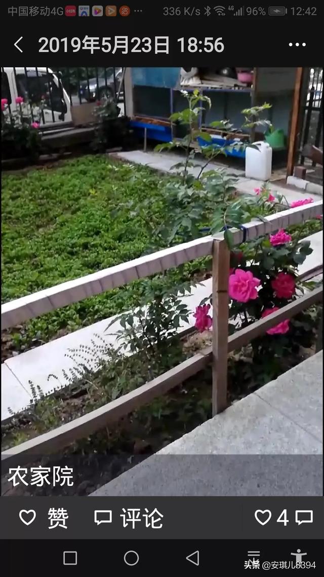 为什么有钱人都住一楼,为什么住一楼的都说一楼最不好？