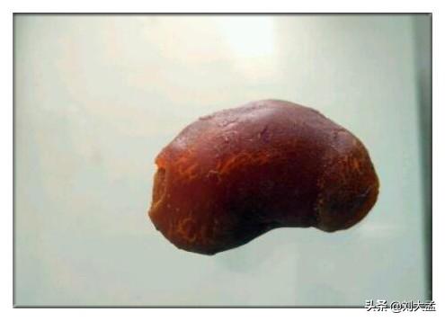 鸡宝真的存在吗？真的值钱吗？