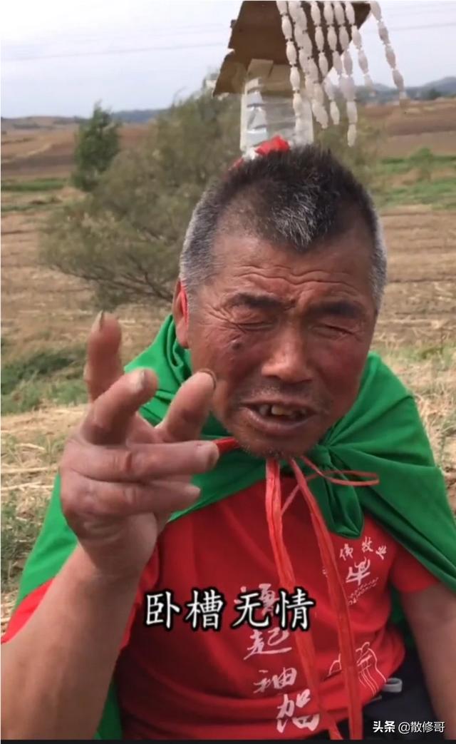 "卧槽无情"是个什么段子 - 帕菲诺生活百科