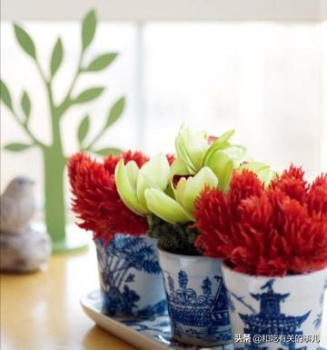 贝壳花瓶:鸡冠花配什么样花瓶好看？