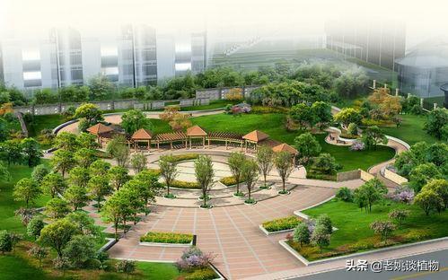 深圳绘图<a href=https://maguai.com/list/63-0-0.html target=_blank class=infotextkey><a href=https://maguai.com/list/63-0-0.html target=_blank class=infotextkey>招聘</a></a>智通:园林专业植物方向就业有哪些选择？