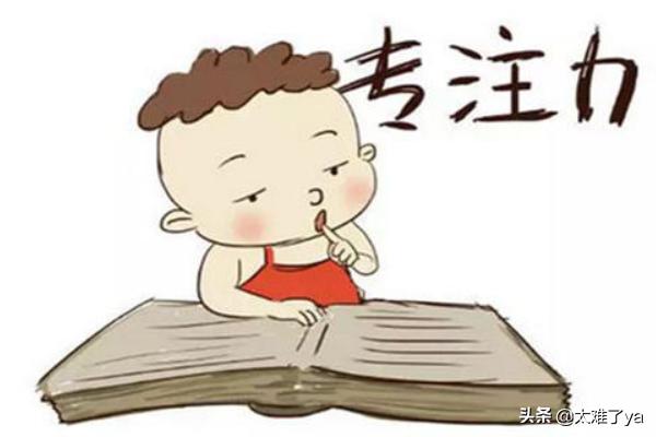 专注力训练:怎样让狗狗训练提高注意力？