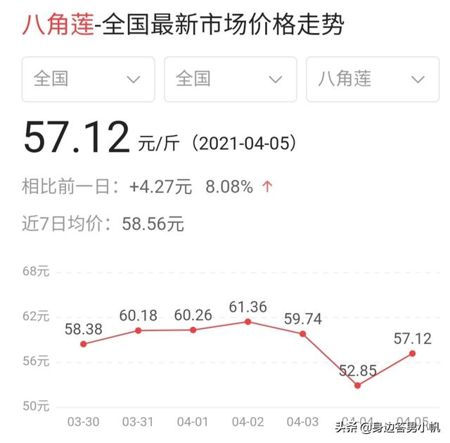 神农架五节蛇:俗话说:“认得八角莲，可与蛇共眠”，怎么理解？