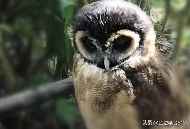你们碰到过哪些诡异却无法用科学解释的事或人？