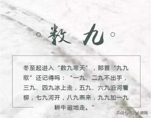 三九四九冰上走:完整数九歌，一九二九冷还是三九四九冷？