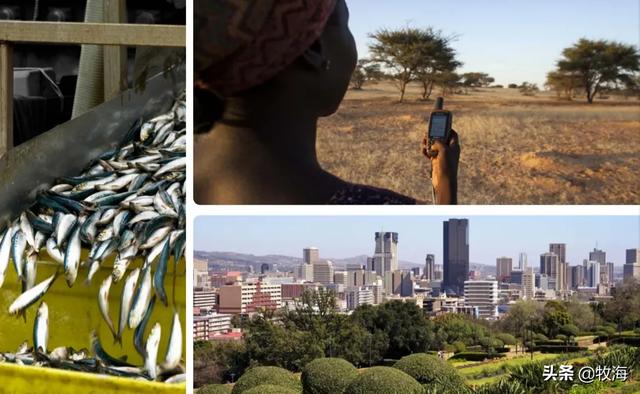 非洲人一般都吃什么呢？插图9