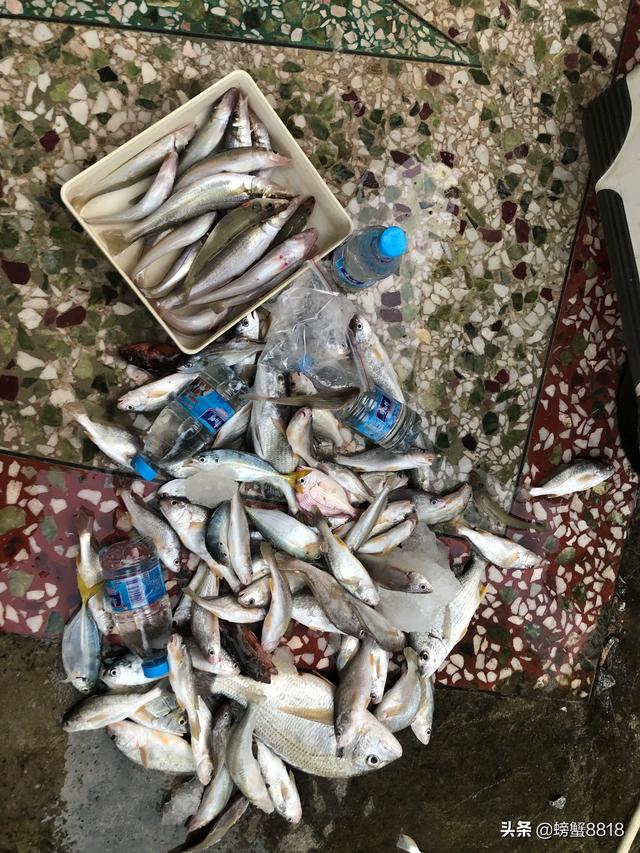 抓到蓝环章鱼的楼主:嫖娼没被当场抓到，事后可以用转账记录来定罪吗？