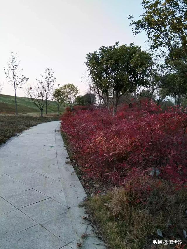 朋友圈应该屏蔽家长:上大学的孩子微信屏蔽了父母，你们怎么看？(对朋友圈屏蔽父母的看法)