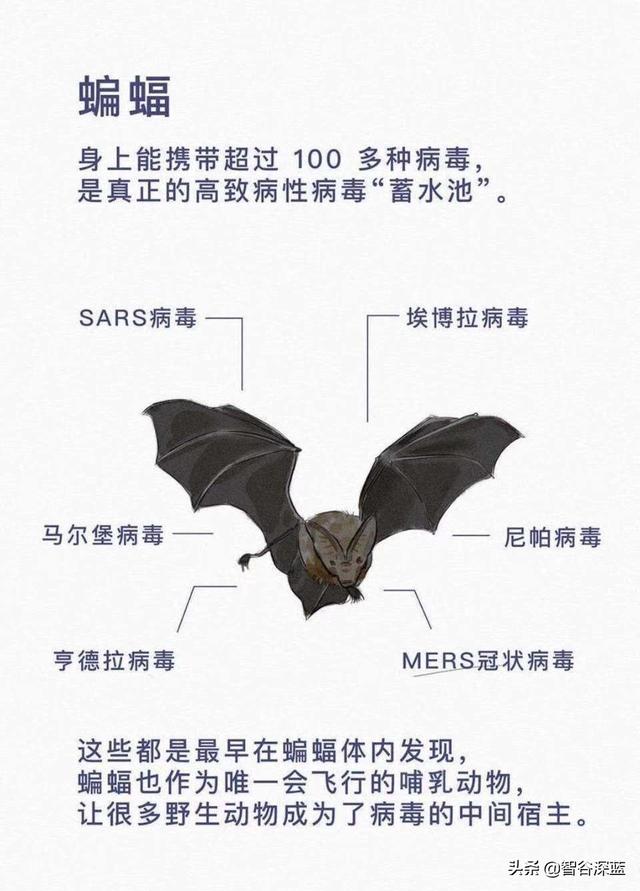 开直播是趋势,可我开直播不知道播什么怎么办？