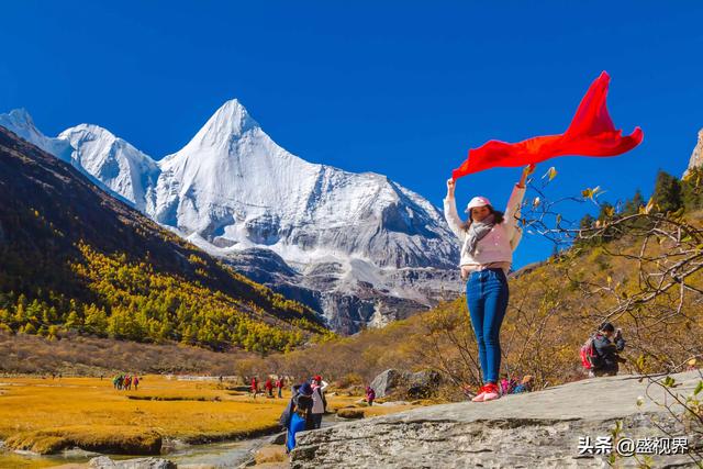 高山金翅雀图片:有没有在新疆天山天池拍的照片，可以分享一下吗？