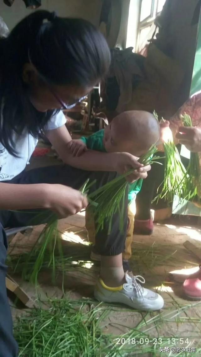 草甘膦会对农作物和土地有影响吗，地里打除草剂对土地有伤害吗种出来的粮食会对人体造成伤害吗