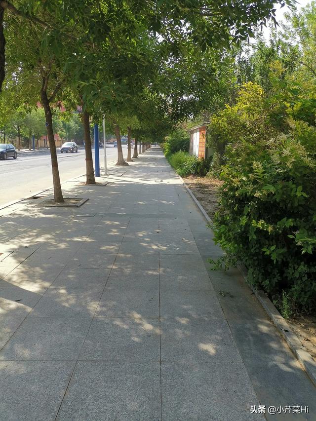 为什么山东东营能做到一例患者都没有？