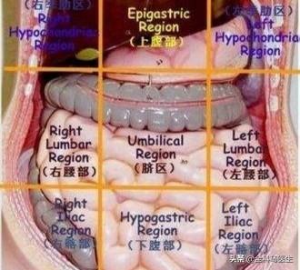 头条问答 左下腹疼痛是怎么回事 小医日常的回答 0赞