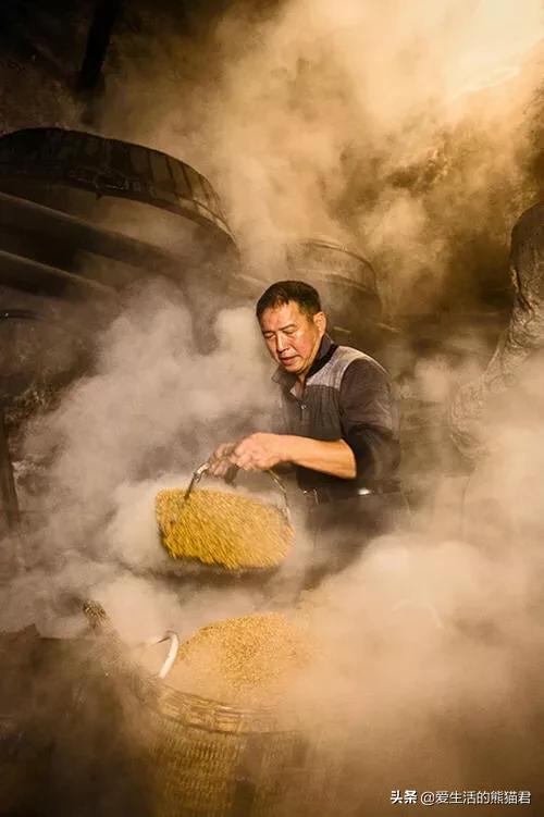 狗粮制作机器设备家用:家用酿酒机能酿出好酒吗？