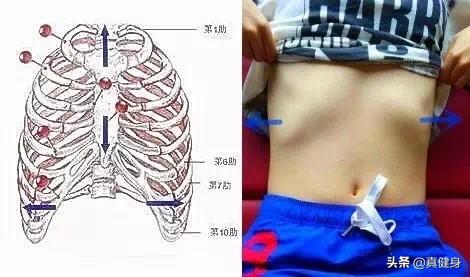 头条问答 如何解决肋骨外翻 医联媒体的回答 0赞