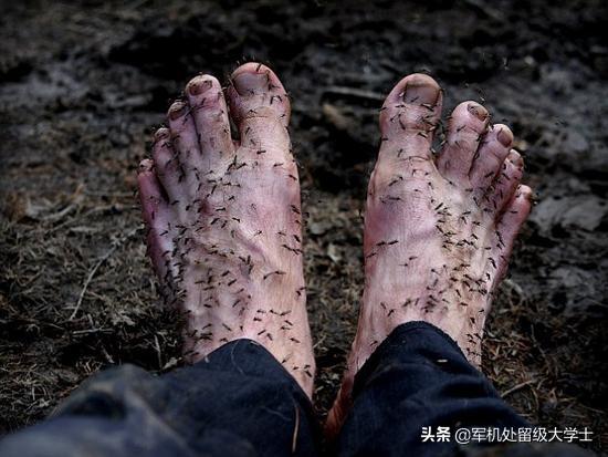 灭蚊子:夏天农村的晚上怎么那么多蚊子一群一群的，有什么办法消灭蚊子？