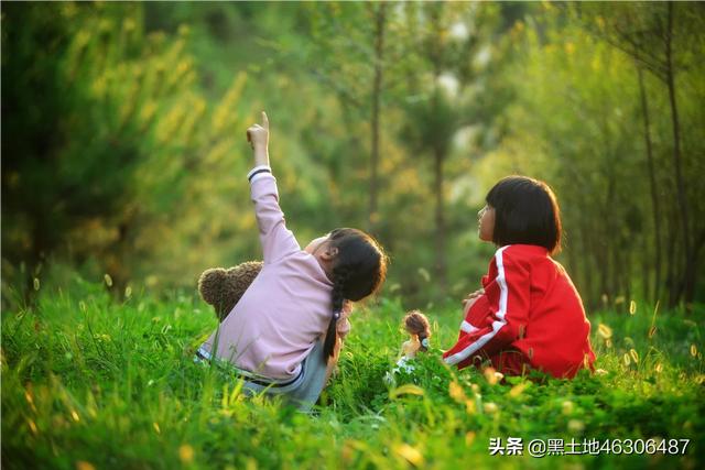 八公犬物语在线观看:摄影“尼康”党们，是什么原因让你当初选了尼康？