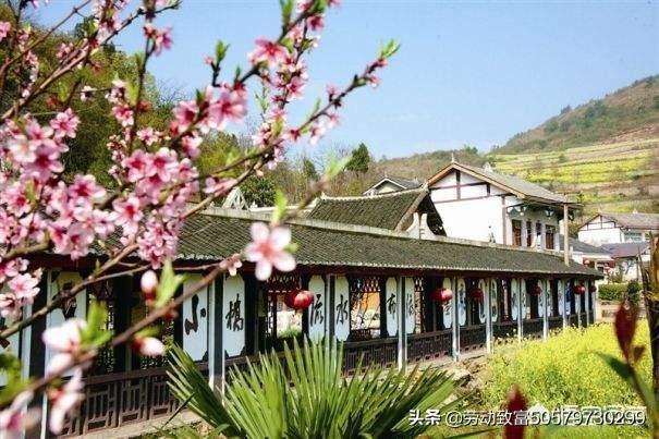 曹永廉:经济学家曹远征提出“用宅基地换城市住宅”的方案你同意吗？