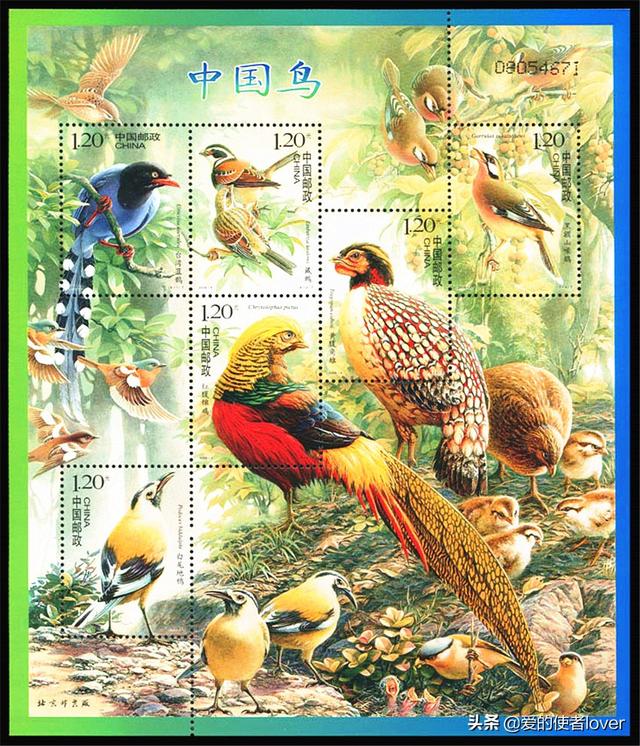台湾蓝鹊图片:《中国鸟》邮票有何收藏价值，一张值多少钱？