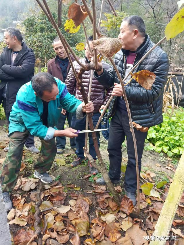 创业成功人士案例，在你们农村，你身边有哪些创业成功的，他们是做什么的