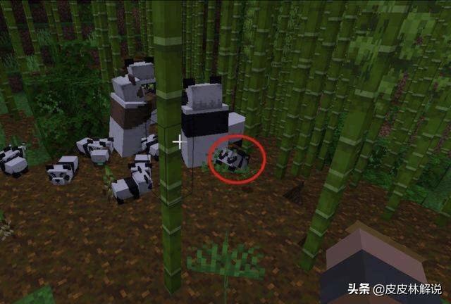 我的世界竹林在哪 黑风游戏解说的回答 头条问答