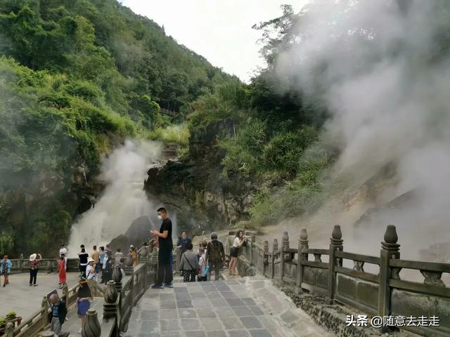 云南观鸟会:高黎贡山的最佳观鸟路线是怎样的？