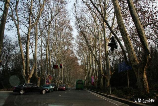 南京石臼湖<a href=https://maguai.com/list/52-0-0.html target=_blank class=infotextkey>旅游</a>:过年去南京<a href=https://maguai.com/list/52-0-0.html target=_blank class=infotextkey>旅游</a>好玩吗？如何游玩好呢？