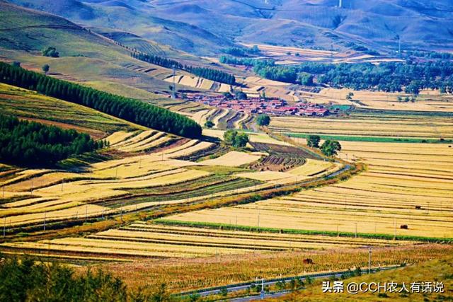 头条问答 农民又头疼了 秸秆到底怎么解决 8个回答