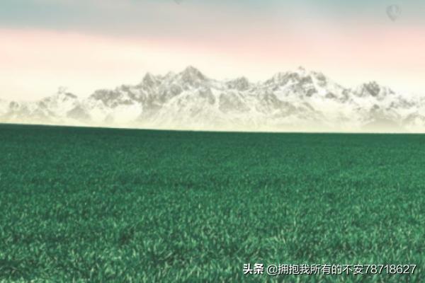 手机是谁发明的电话是什么时候出现的？