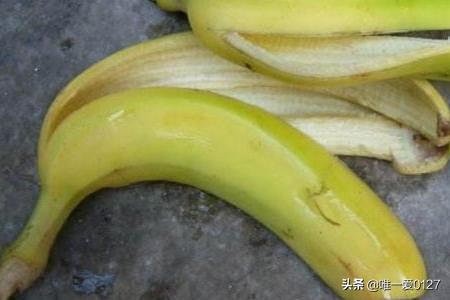 如何制作花肥(花肥的制作最简单方法大全)