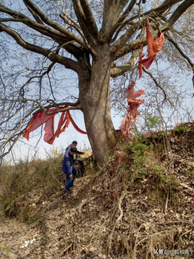 你曾写过哪些难忘的诗词？插图30