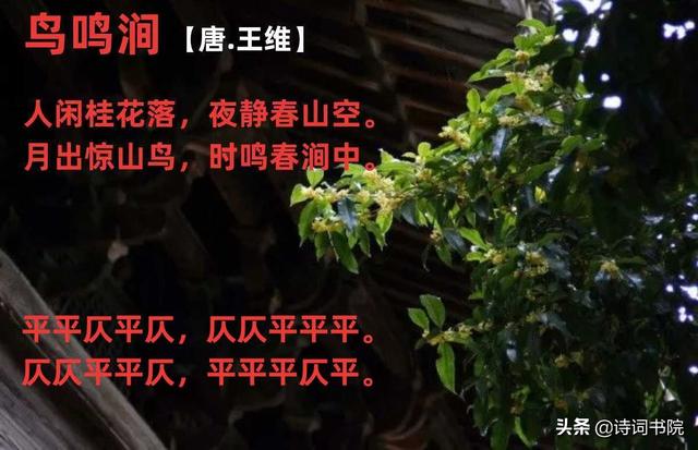 怎么赏读王维的诗《鸟鸣涧》？