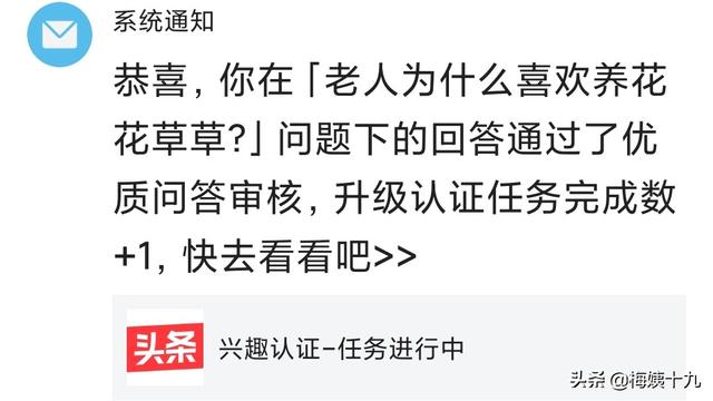 汪小茜:我想通过生活认证，可是我不会养花怎么办？