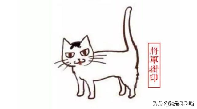 日本田园猫图片笑容:想咨询图片里的是什么品种的猫咪？