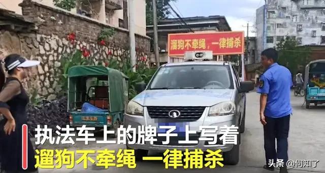 湖南宠物网:“遛狗不牵绳，一律捕杀”，湖南永州城管的做法你怎么看？