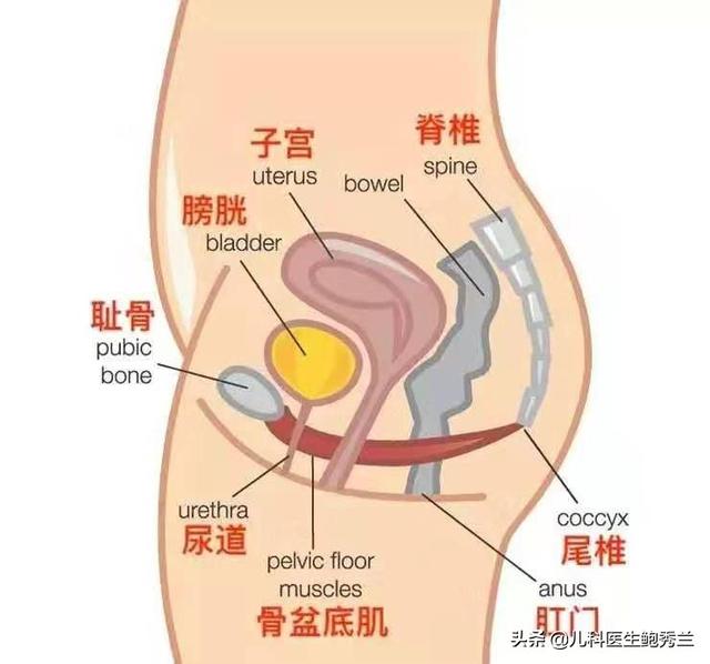 产后 夹不住尿 治疗:产后漏尿是病吗？严重吗？