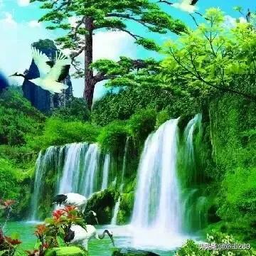 文竹的作用:文竹的作用 净化空气,缓和抑郁 竹子有什么用途?可以做什么？