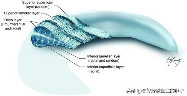 半月板损伤症状:半月板损伤是严重的病吗？